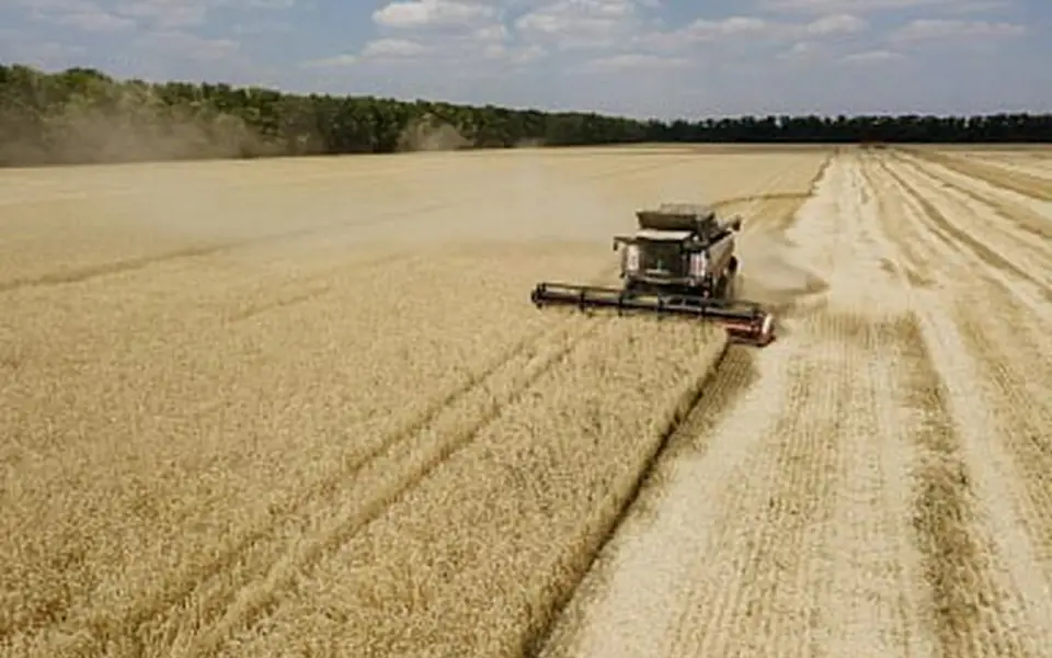 Объем господдержки АПК в 2025 году достиг 665 млрд рублей