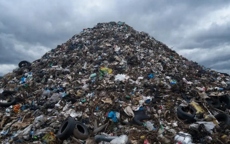 Крупного мусорного оператора «Вега» подловили на нарушениях в Воронежской области