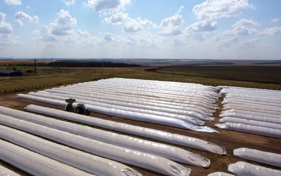 В Липецкой области за 169 млн рублей продают несостоявшийся в ОЭЗ инвестпроект по выпуску пластиковых рукавов