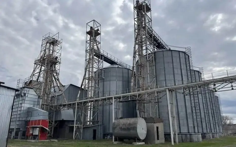 Маслозавод с элеватором продают в воронежских Лисках за 350 млн рублей