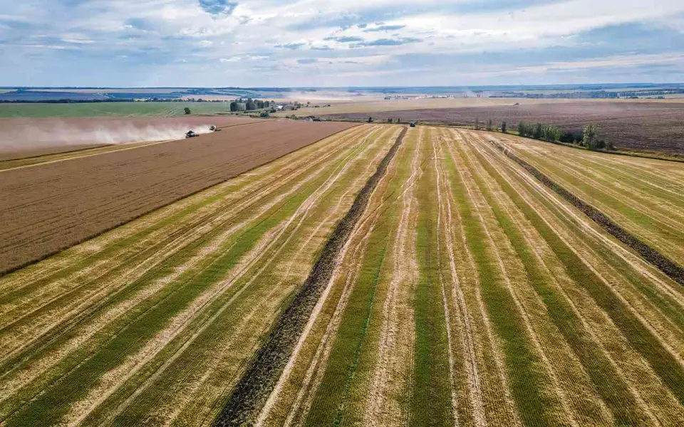 ГК «Продимекс» подвела итоги работы в уходящем сезоне в Воронежской области	