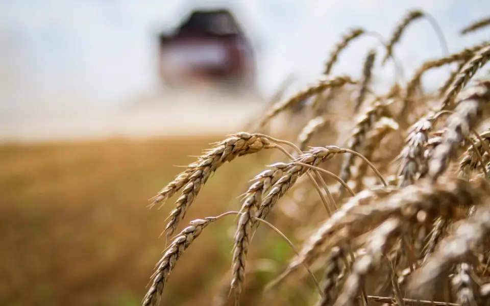 АПК и сельские территории Липецкой области получат более 5 млрд рублей господдержки в текущем году