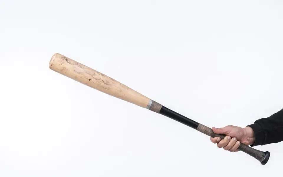 Бизнесмена Александра Шишканова избили битой в собственном доме 