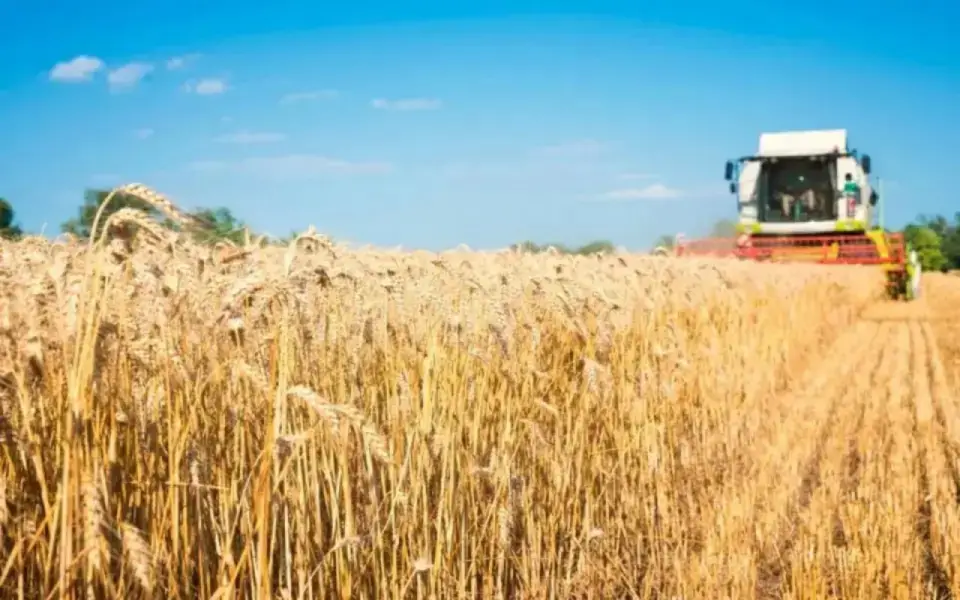 Экспорт продукции АПК в Курской области в 2025 году превысил 870 млн долларов