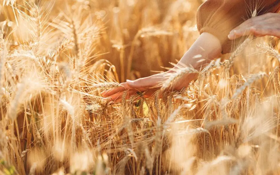 Власти Токаревского округа опровергли обвинения в адрес главы Виктора Айдарова 