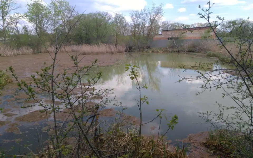 Администрацию тамбовского Кирсанова обязали возместить более 5,4 млн рублей за ущерб почвам