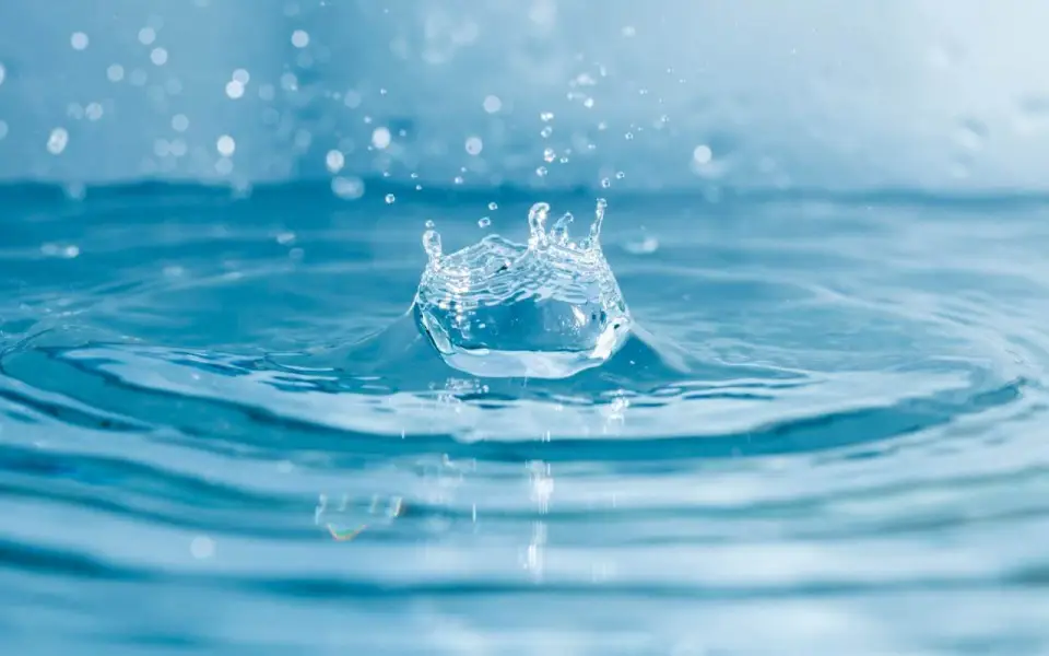 Роспотребнадзор ставит под сомнение качество воды в «Теплоэнерго Воронеж»