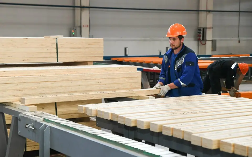 Лесопромышленный комплекс «Новоторжский ЛПК» перешел под полный контроль ВЭБа