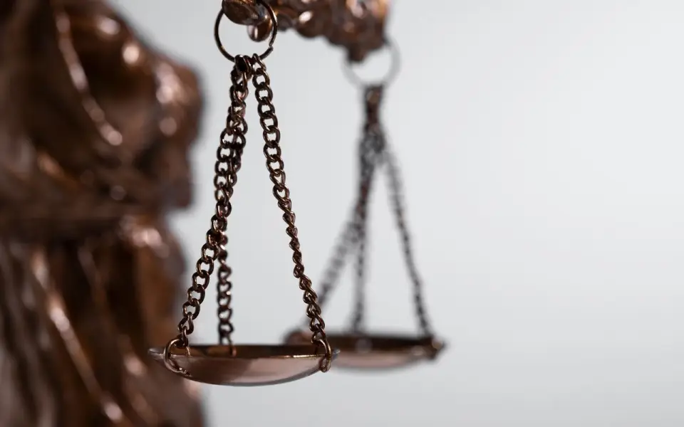 Экс-главу липецкого «Элекс Плюс» Анну Логунову заподозрили в мошенничестве на 93 млн через Промсвязьбанк