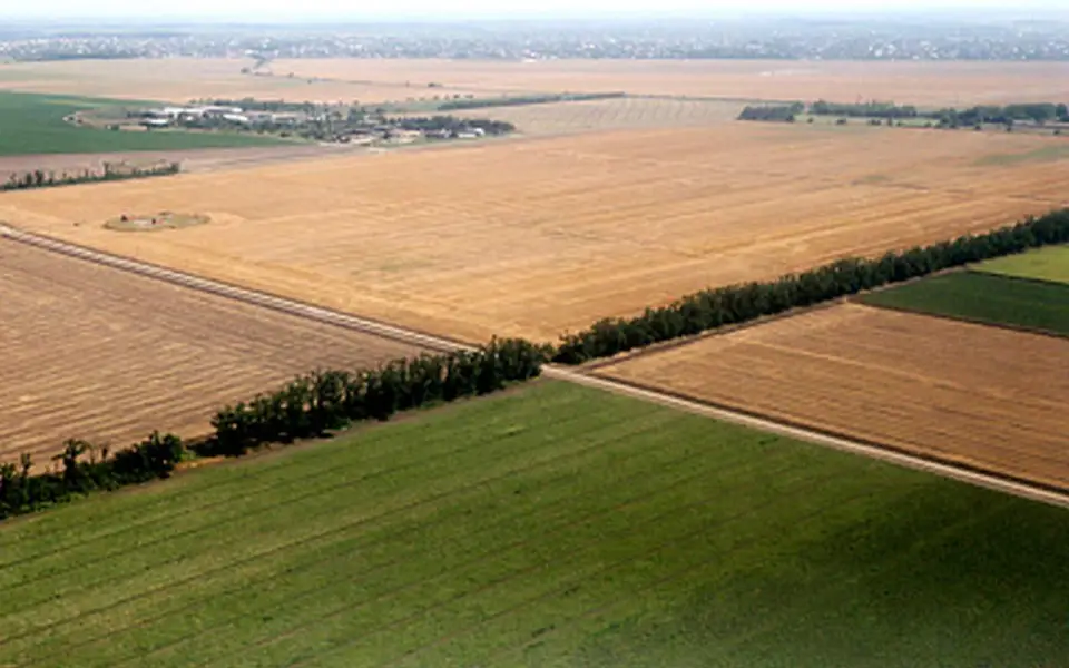 Рекордные урожаи и рост экспорта: результаты агропромышленного сектора за 2025 год