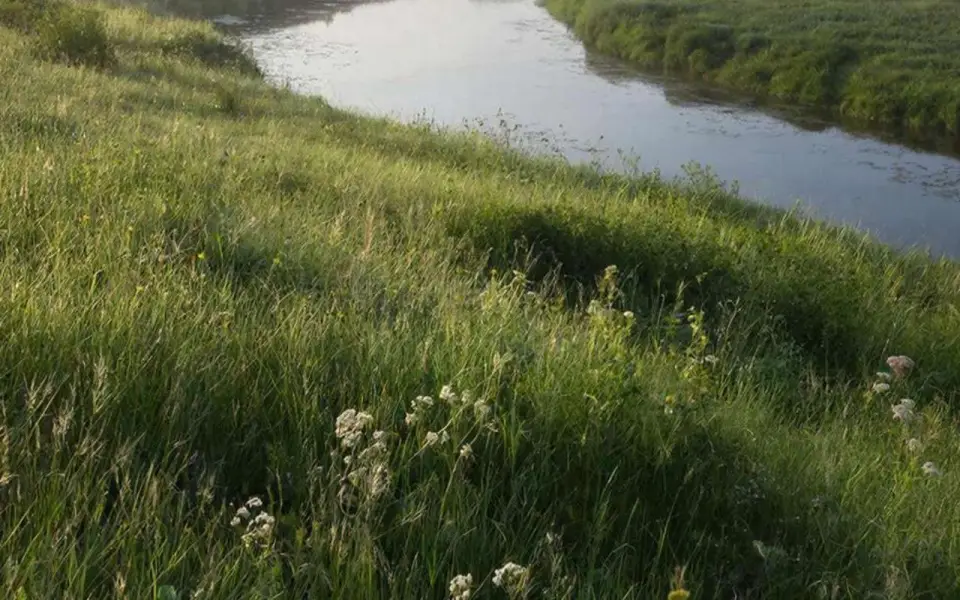 Суд заставил администрацию Аннинского района рассчитаться с предпринимателем за землю Суд заставил администрацию Аннинского района рассчитаться с предпринимателем за землю