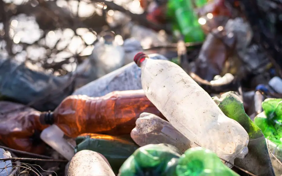 Мэрия Воронежа может не успеть рекультивировать мусорный полигон в установленные судом сроки