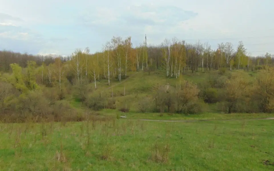 Воронежский Ботанический сад выиграл грант на сохранение экосистемы и создание экотропы