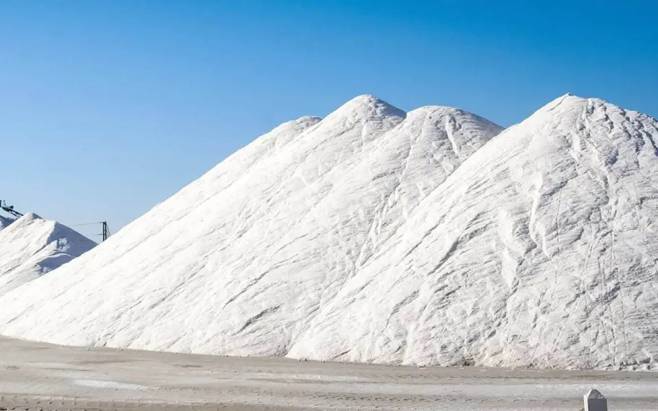 «Не мусор, а ресурс»: как Тамбовская область будет превращать фосфогипс в дороги и урожай «Не мусор, а ресурс»: как Тамбовская область будет превращать фосфогипс в дороги и урожай