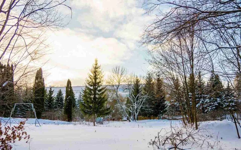 Орловский пансионат «ЗиЛ» может избежать банкротства через мировое соглашение Орловский пансионат «ЗиЛ» может избежать банкротства через мировое соглашение