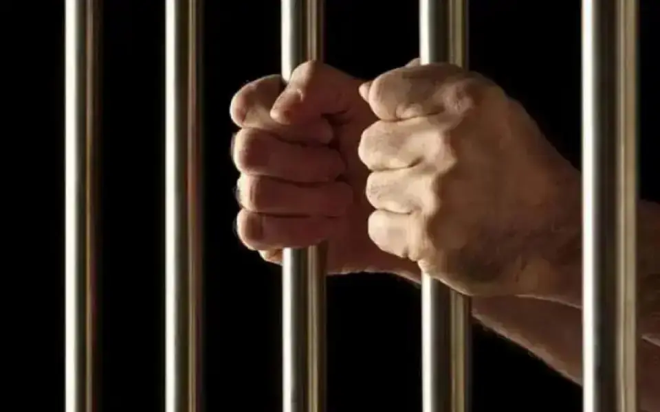 Экс-главу Корпорации развития Курской области Лукина приговорили к 9 годам колонии за хищения на фортификациях Экс-главу Корпорации развития Курской области Лукина приговорили к 9 годам колонии за хищения на фортификациях