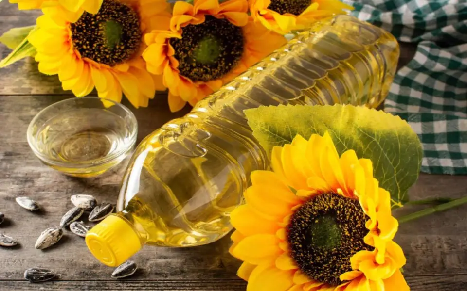 Инвестиции бизнесмена Будагова в орловские проекты выросли до 5 млрд рублей Инвестиции бизнесмена Будагова в орловские проекты выросли до 5 млрд рублей