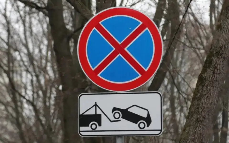 Штрафы за платные парковки пополнили бюджет Воронежа в 2025 году на 220 млн рублей