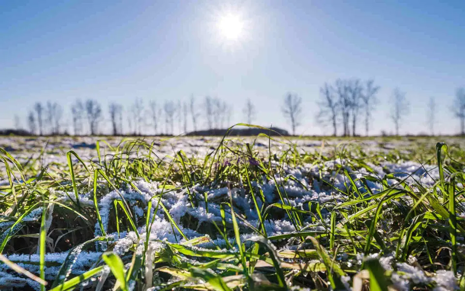 На агропредприятиях ГК «Продимекс» в Воронежской области стартовал сельхозсезон-2026
