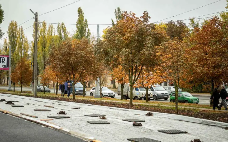 Хинштейн потребовал отдать озеленение и уборку Курска муниципальным предприятиям