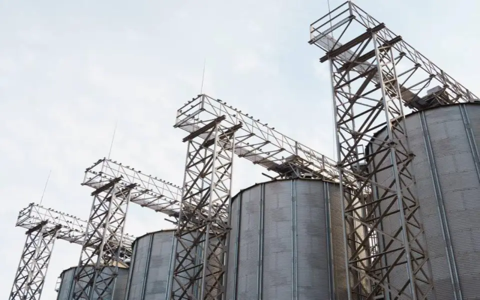 «Русагро» вывела на проектную мощность производство полножирной сои в Тамбовской области