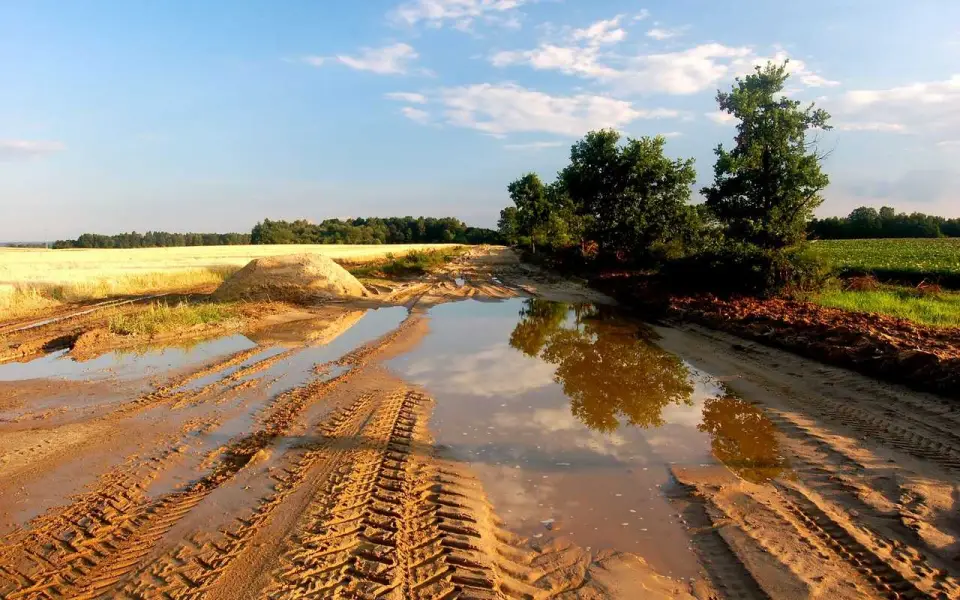 «Россошанское ДРСУ № 1» отремонтирует две ключевые сельские дороги в Кантемировском районе по нацпроекту  