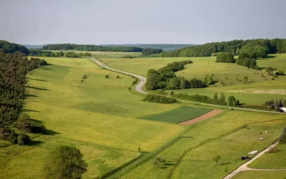 Прокуратура отсудила более 50 га земли у липецкой структуры производителя продуктов «Лимак» Прокуратура отсудила более 50 га земли у липецкой структуры производителя продуктов «Лимак»