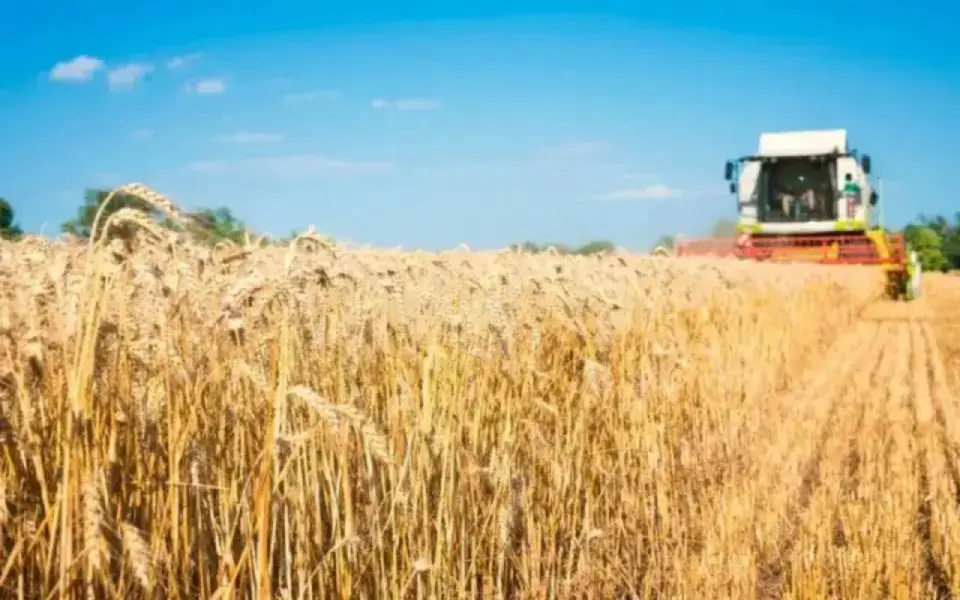 «Уралхим» заинтересовался покупкой национализированного зернотрейдера «Родные поля»