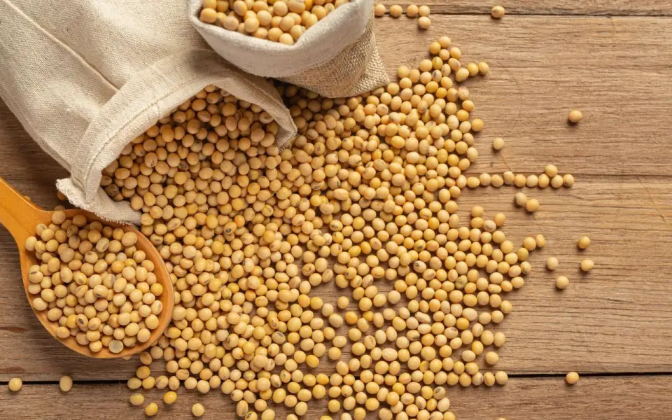 Рынок сои перегревается: экспорт в Иран и Китай снижает запасы и разгоняет цены