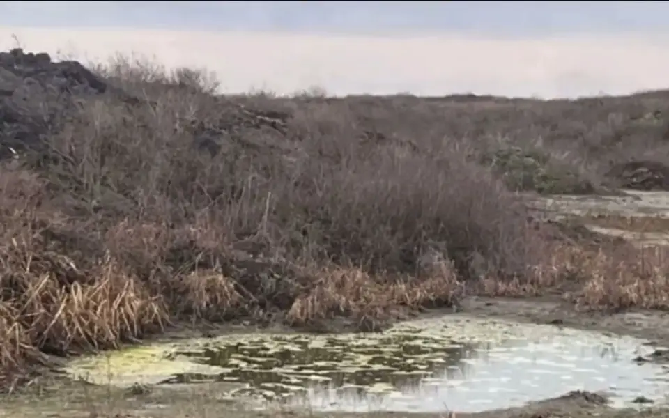 «Дышать нечем»: жители Нелжи записали видео Генпрокуратуре из‑за навозной свалки «Заречного» «Дышать нечем»: жители Нелжи записали видео Генпрокуратуре из‑за навозной свалки «Заречного»