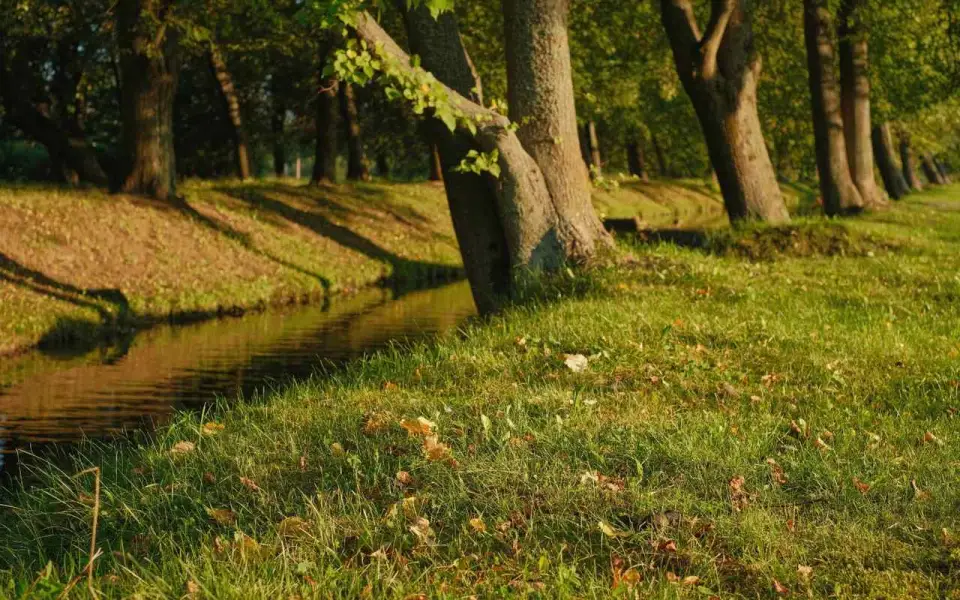 Инвестиции в воронежский парк «Танаис» выросли почти вдвое