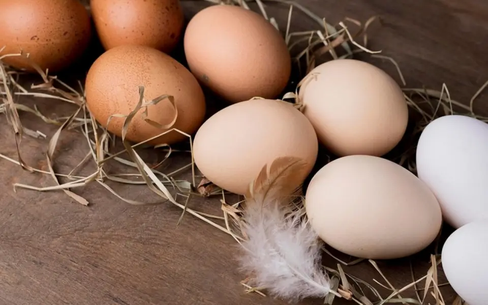 Белгородские власти компенсируют 15% затрат кооперативам, если они закупятся у фермеров на 50 млн рублей в год