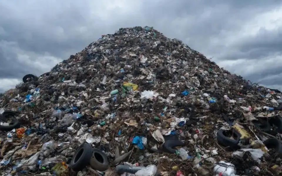 Суд заставил воронежский «Полигон» доплатить свыше 4,7 млн рублей за заниженную плату за негативное воздействие на природу