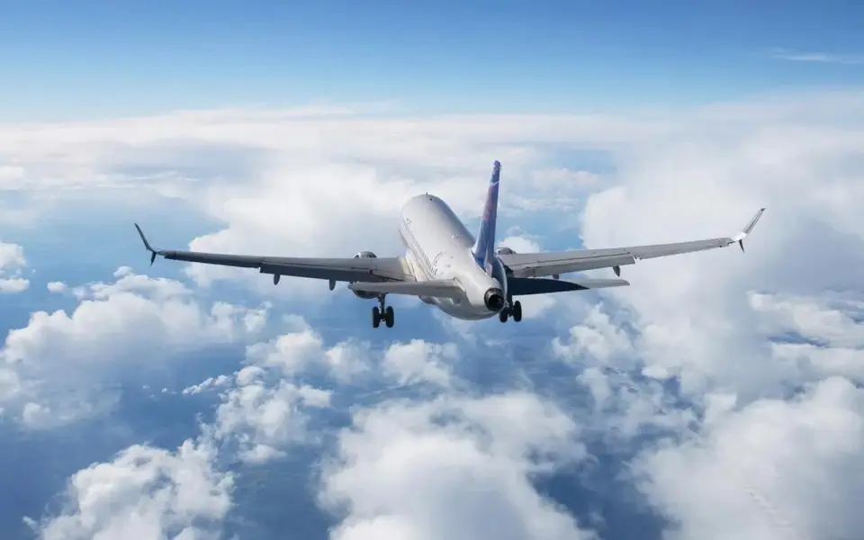 Курский авиазавод требует 100 млн рублей с мясного хозяйства