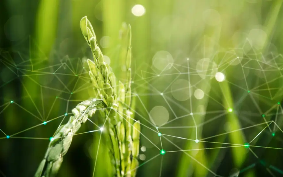 АКРА подтвердило рейтинг «Русагро» на уровне АА-(RU) со стабильным прогнозом