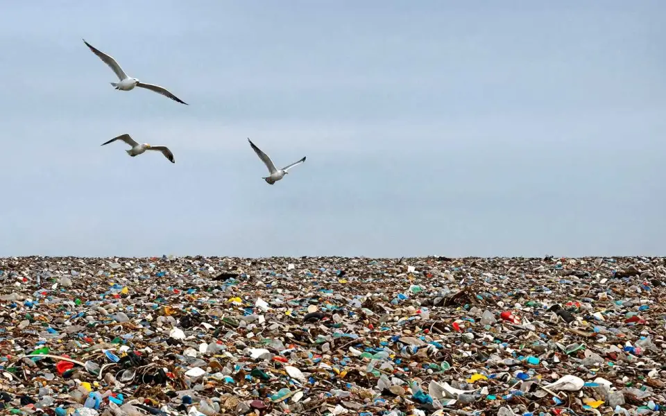 Липецкий бизнесмен через суд арестовал спорный полигон ТБО после приговора бывшему директору «Чистого мира»