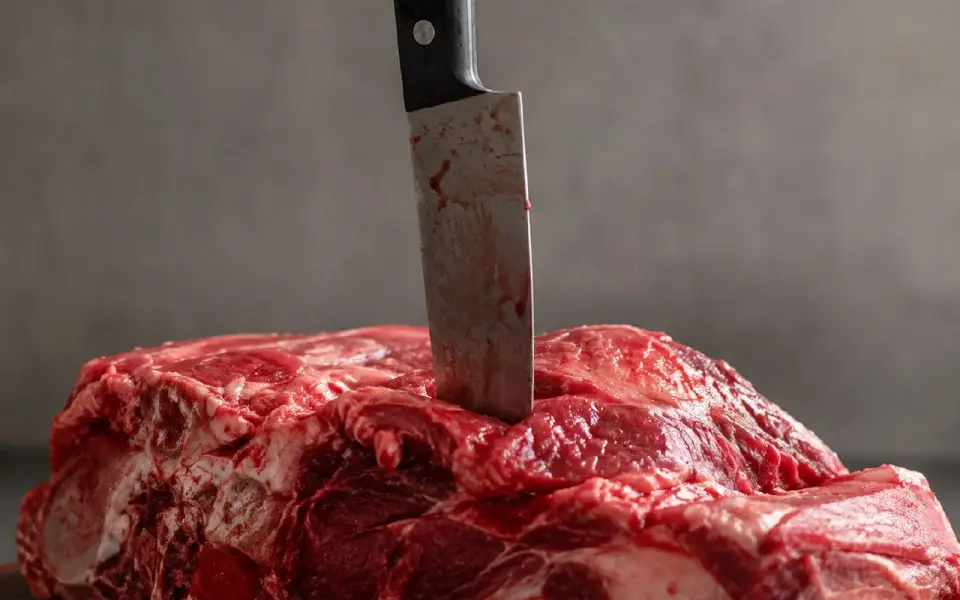 Убыточному «Липецкому мясу» пригрозили банкротством из-за долга за сырье