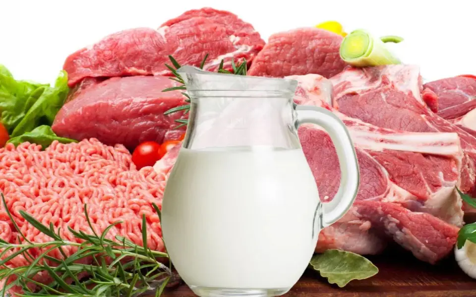 Экспорт животноводческой продукции и кормов из Орловской области вырос в три раза