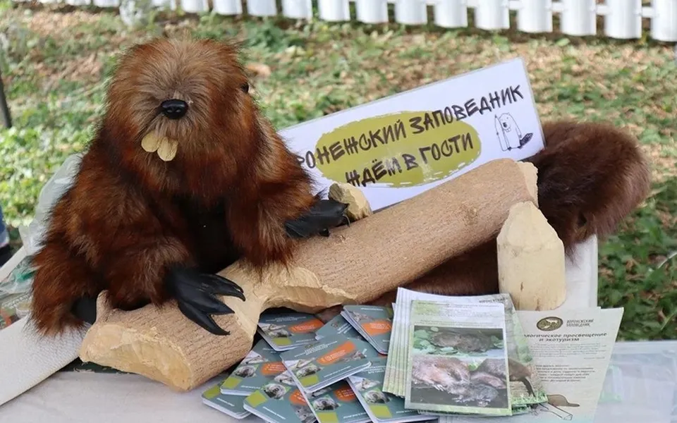 Иск воронежского заповедника к ЮВЖД на 173,9 млн рублей оставили в Москве