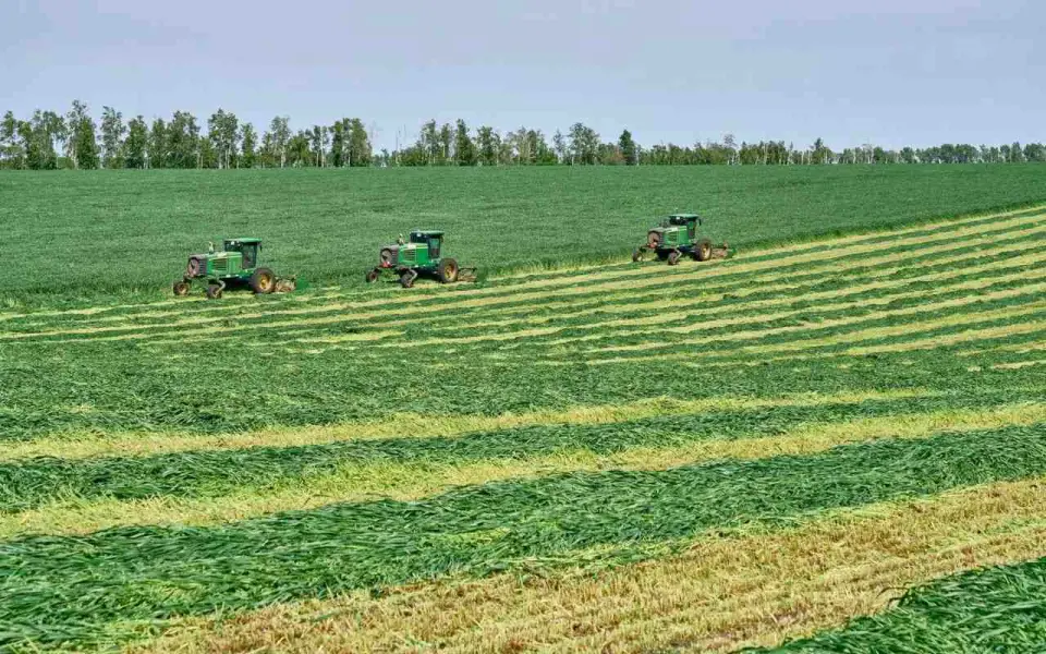 «ЭкоНива» нарастила производство молока на 4% и увеличила выпуск готовой продукции на 19%