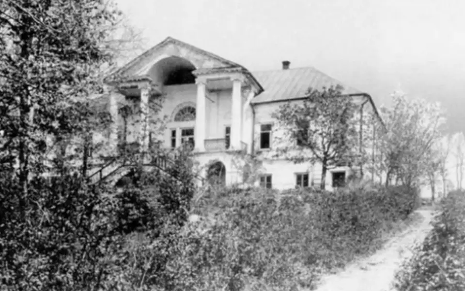 Усадьбу Лосевых-Сомовых под Воронежем ждет комплексная реставрация