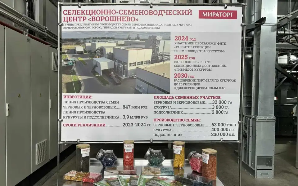 «Нужно выходить на уровень лучших образцов»: как «Мираторг» развивает селекцию семян в Курской области