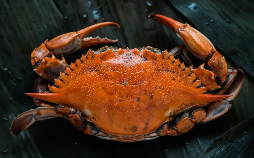 Россия поставила в Китай рыбы и морепродуктов на 2,4 млрд долларов  