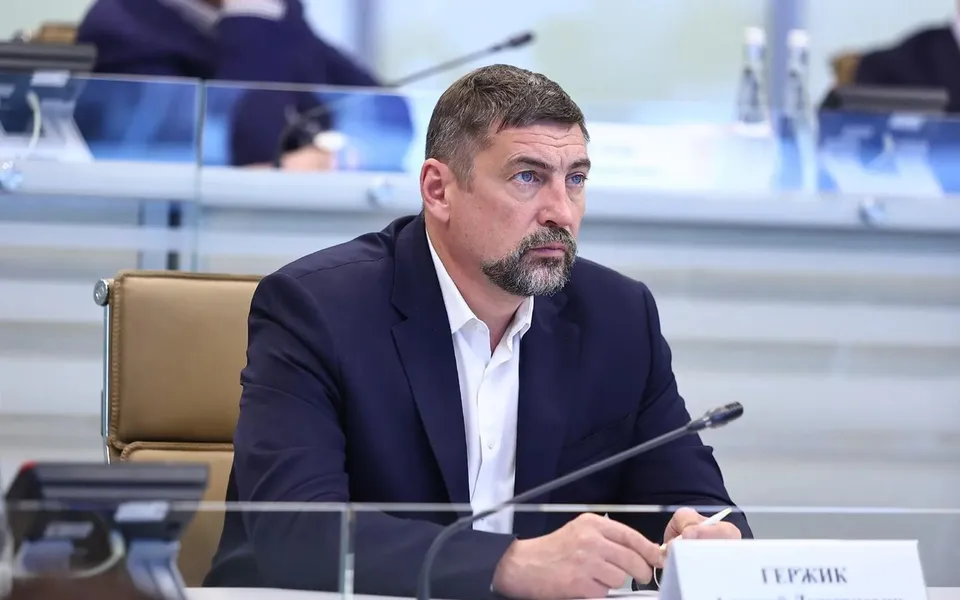 Экс-вице-премьера Подмосковья Гержика прочат в министры строительства Белгородской области
