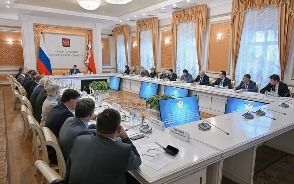 Воронежская область вошла в топ-15 регионов по качеству контроля над бизнесом