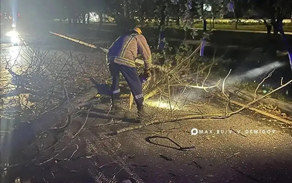 В Белгороде устранили последствия сильного ветра на шести улицах В Белгороде устранили последствия сильного ветра на шести улицах
