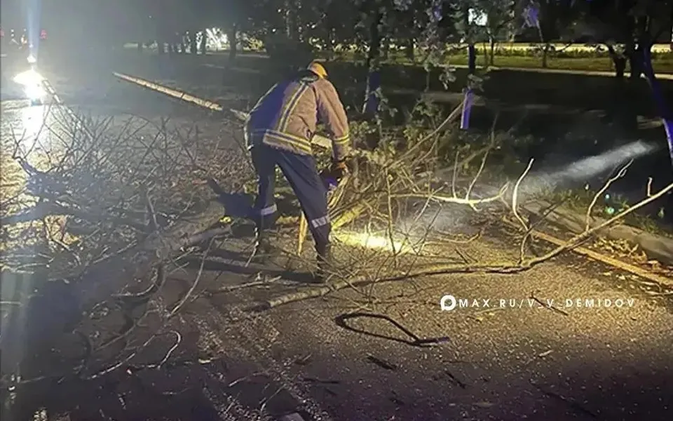 В Белгороде устранили последствия сильного ветра на шести улицах