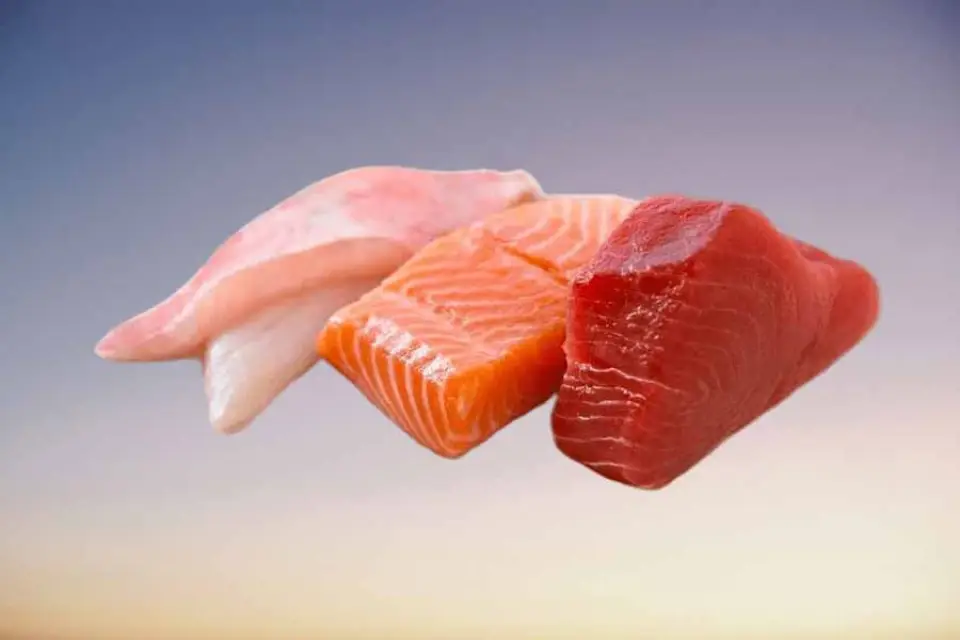 УФАС уличило воронежские компании в сговоре на торгах на поставку продуктов питания в соцучреждения