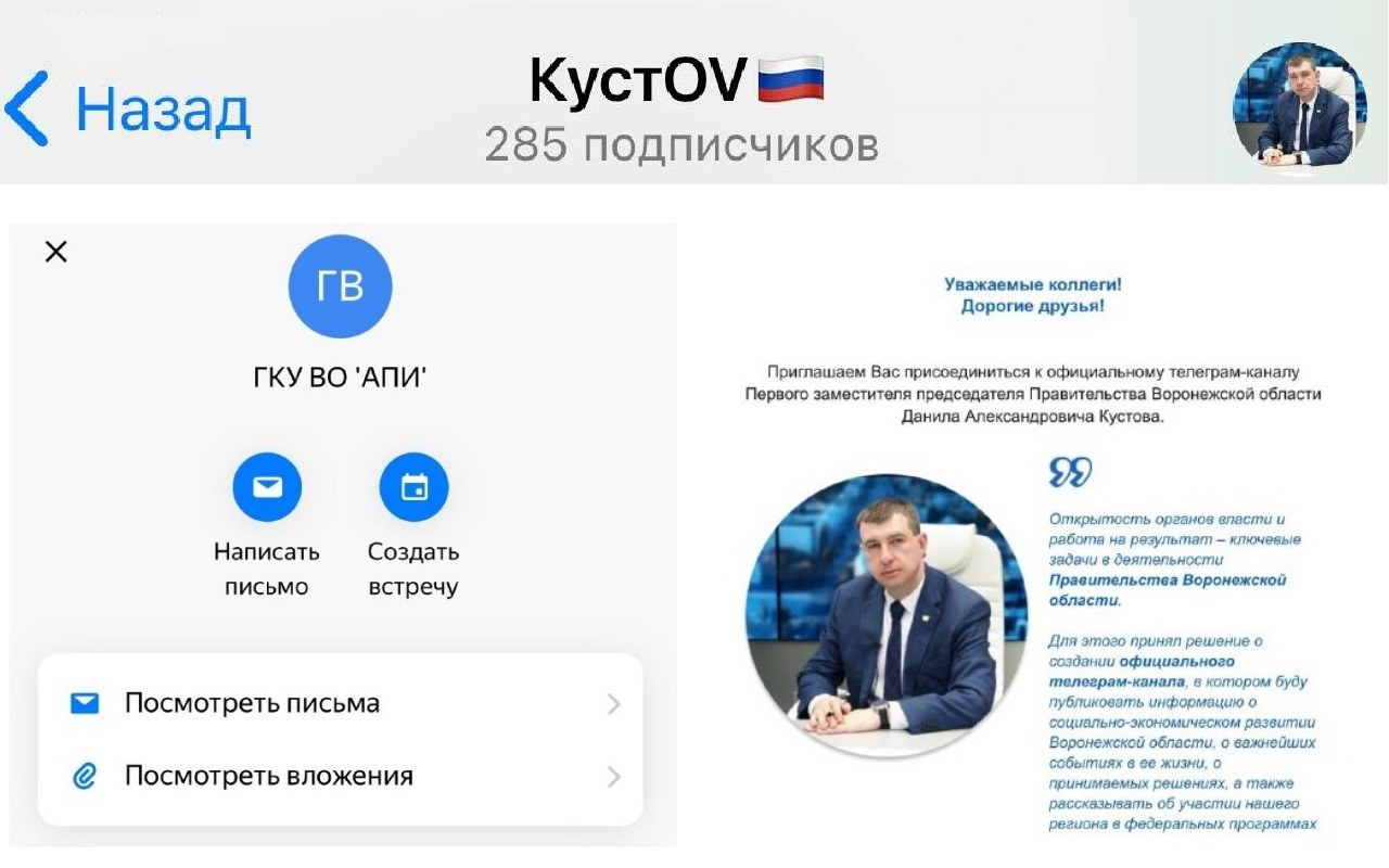 Первый зампред воронежского облправительства Данил Кустов «спамит» ради личного бренда?