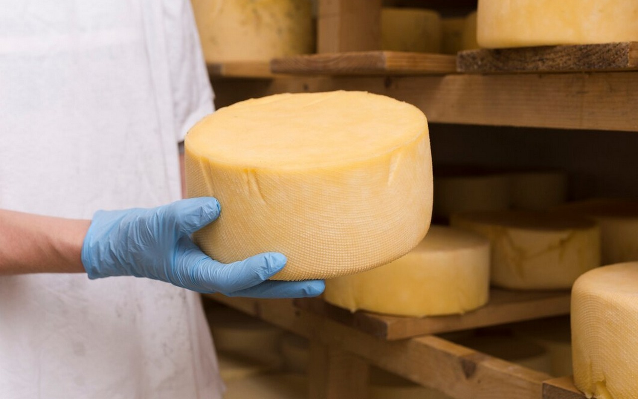 ГК «Молвест» заняла 11-е место среди крупнейших компаний России по производству сыров